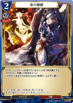 BUILD DIVIDE A-B2-35 N - ANIPLEX