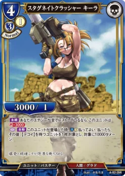 BUILD DIVIDE A-B2-29 R Parallel - ANIPLEX