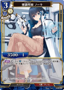 BUILD DIVIDE A-B2-25 N - ANIPLEX